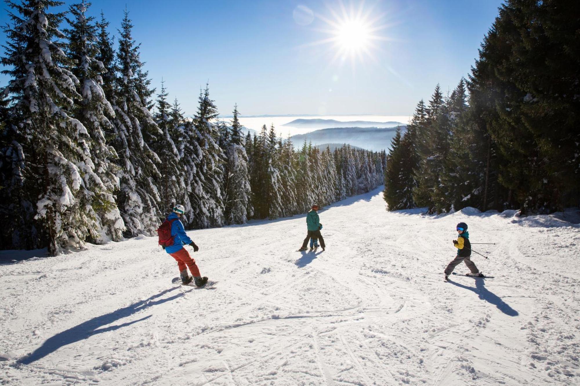 Drei Tannen - Wohnung 12 - Apartmenthaus, Titisee, Nahe Badeparadies Dış mekan fotoğraf