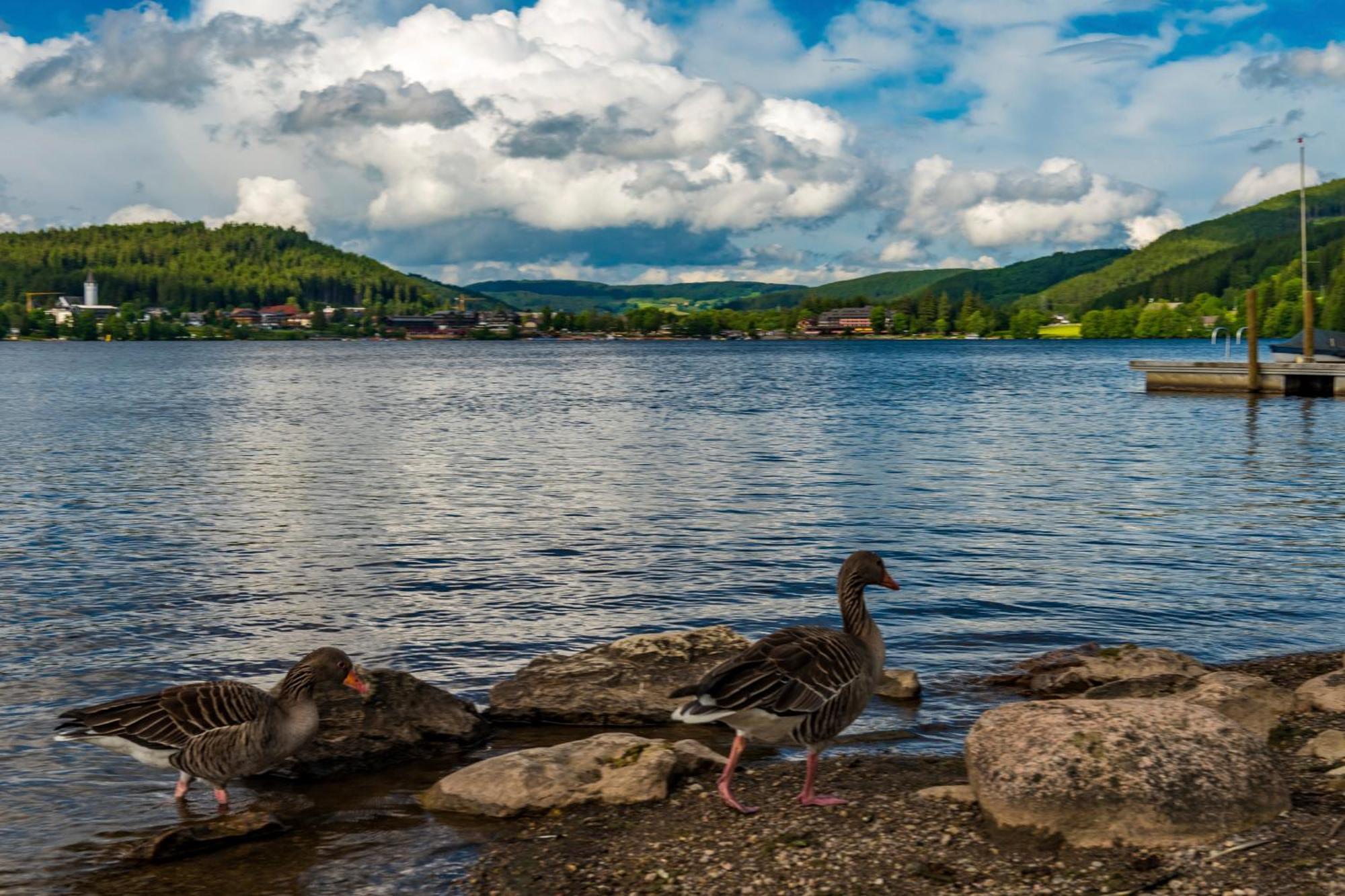 Drei Tannen - Wohnung 12 - Apartmenthaus, Titisee, Nahe Badeparadies Dış mekan fotoğraf