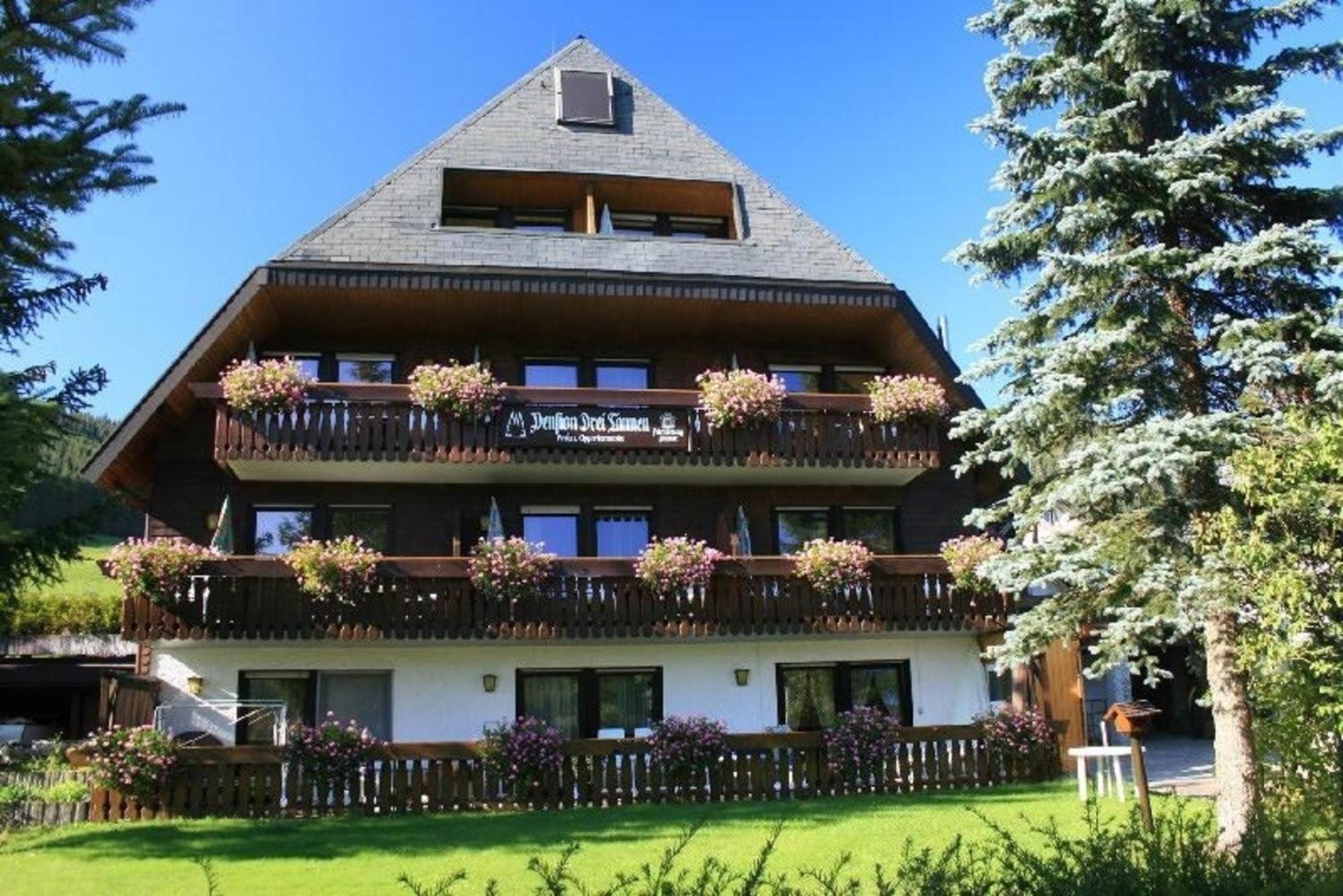 Drei Tannen - Wohnung 12 - Apartmenthaus, Titisee, Nahe Badeparadies Dış mekan fotoğraf